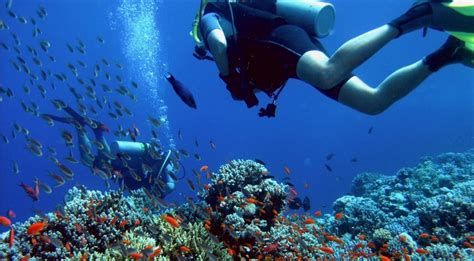 Diving in Coron - Travel Palawan