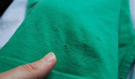 This is why your t-shirts are always getting these tiny little holes at the bottom!