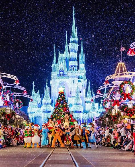 2024-2025 Disney World Planning Guide | Disney world christmas ...