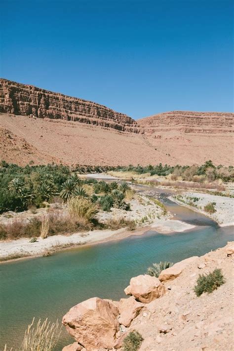 So *this* is what a desert oasis looks like... Morroco Morroco Avoir ...