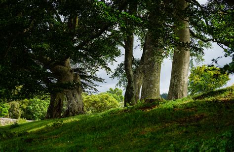 Harbottle Castle, West Wood and Alnmouth: a photography outing at Adam ...