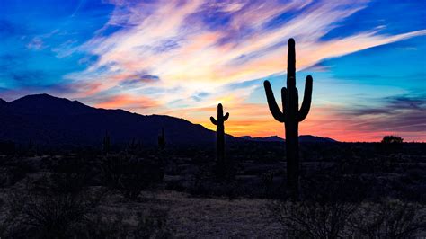 Things to do in Phoenix, Arizona — Exploratory Glory Travel Blog ...