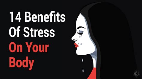 14 Benefits Of Stress On Your Body | 6 Minute Read