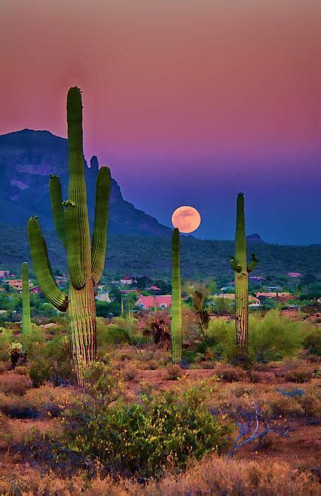 Postcard Perfect Arizona by Saija Lehtonen | Nature photography ...