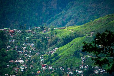 8 Best Resorts in Darjeeling for Peaceful Stay | Veena World