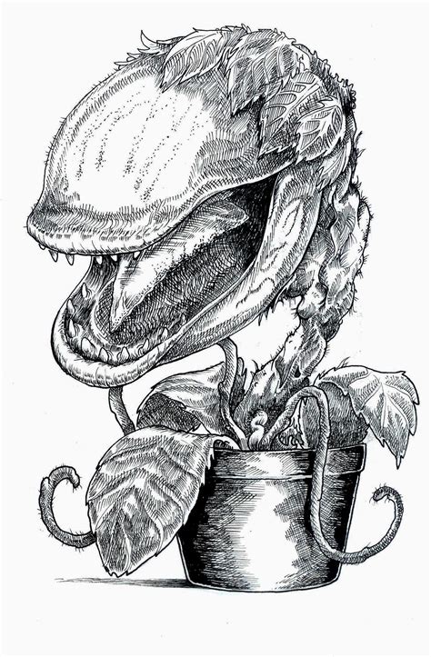 the plant from Little Shop of Horrors Horror Drawing, Horror Art, Illustration Art Drawing ...