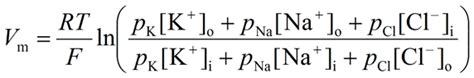 neuroscience - What is the role of Chloride (Cl- ions) in membrane ...