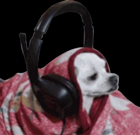 "Headphone dog meme" by los-memes | Redbubble