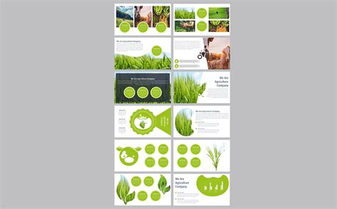 Agriculture PowerPoint Template #80756