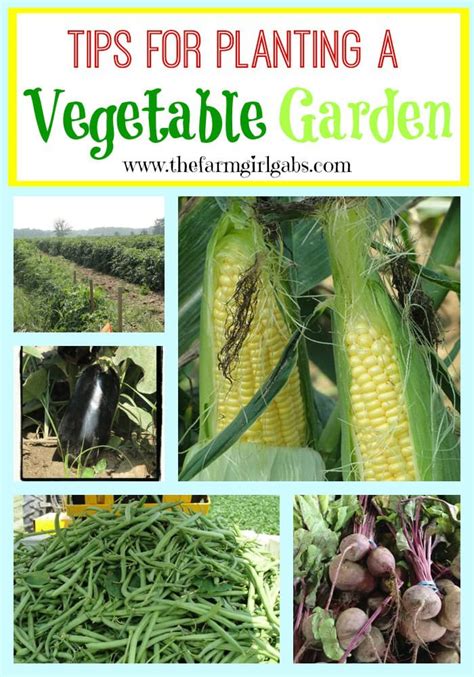 Tips For Planting A Vegetable Garden