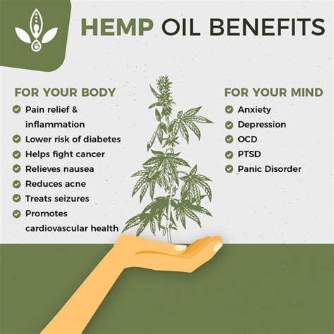 Hemp Seed Oil Benefits for Skin: How to use hemp oil in 2022? - 7 Top ...