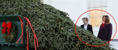 What Melania, Barron Trump Wore To Accept The White House Christmas Tree Will Get You In The ...