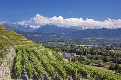 Expert's choice: Savoie - Decanter