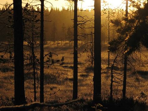 Kuusamo Wild Nature - Kuusamo | Tripadvisor