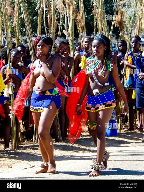 Zulu Reed Dance Ceremony