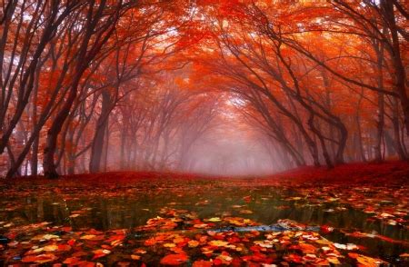 Autumn Rain Wallpapers