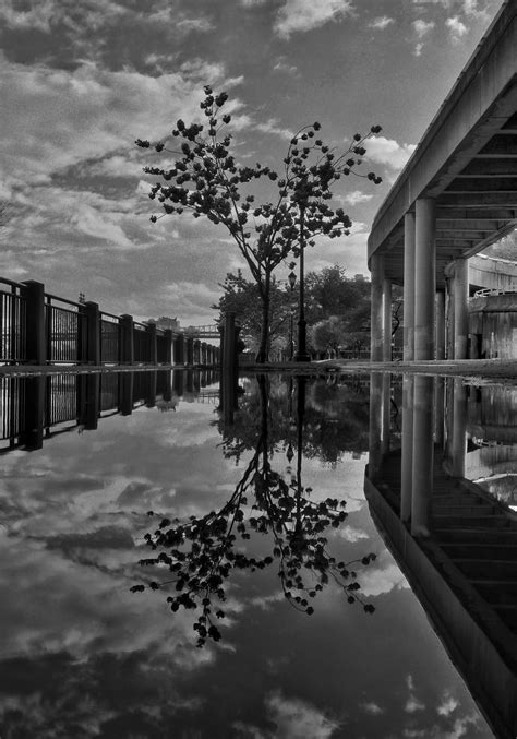 Reflection on a rain puddle by jmac8866 on DeviantArt