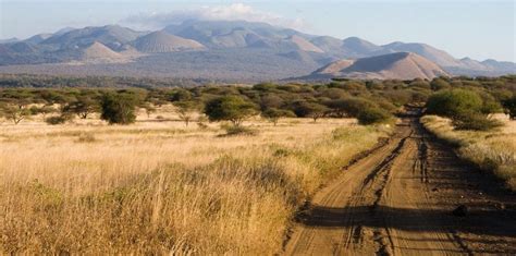 TSAVO WEST NATIONAL PARK - Africa Veterans Safaris