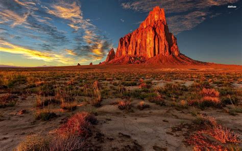 10. CHIHUAHUAN DESERT | المرسال