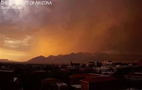 Arizona monsoon 2023 in photos: Dust storms, lightning, flash floods