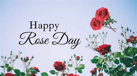 What Is Rose Day 2024 - Dorthy Evangelia