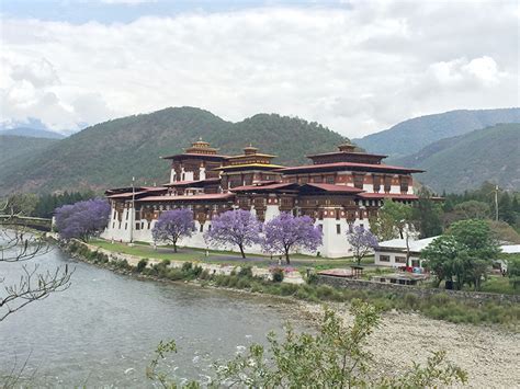 Punakha Festival - Druk Experience