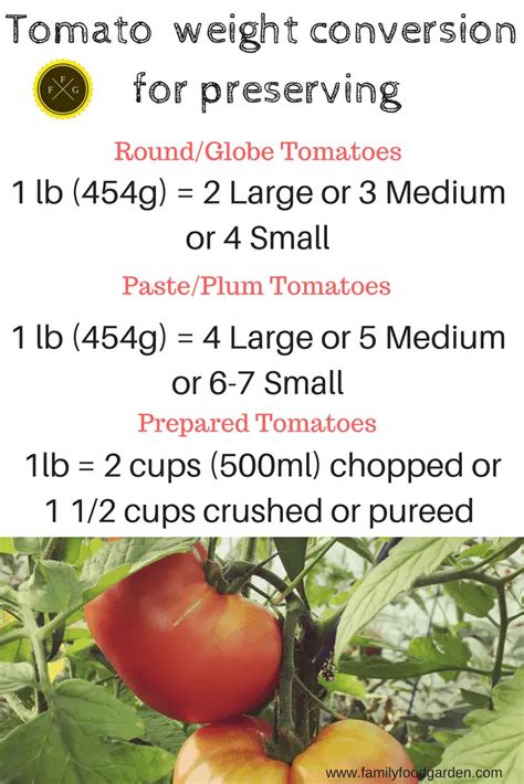 Canning Tomato Sauce Recipe for Preserving Tomatoes | Family Food Garden