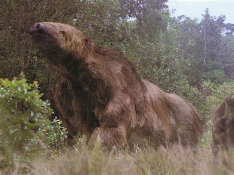 Giant Ground Sloth (Megatherium) Facts, Habitat, Diet, Fossils, Pictures