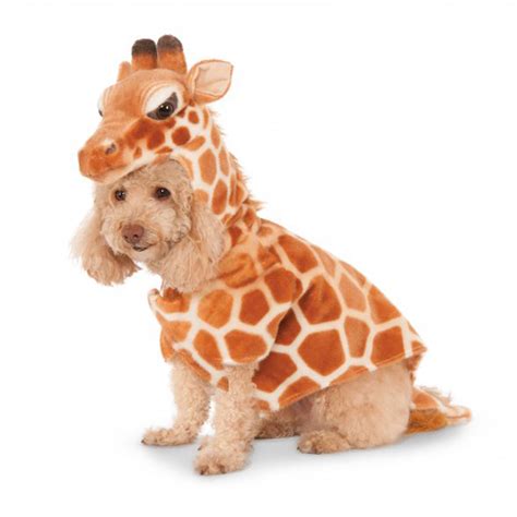 Giraffe Dog Hoodie Costume | BaxterBoo