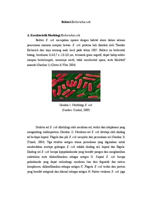 (DOC) Bakteri Escherichia coli | yudya isfhany - Academia.edu