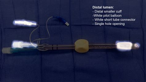 Esophageal tracheal airway/ Combitube® | Anesthesia Airway Management (AAM)