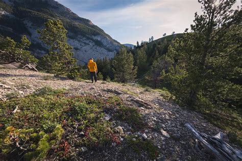 How to Hike BALD HILL in the Crowsnest Pass - Seeing the Elephant