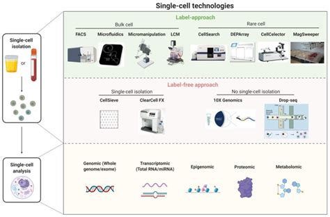 An overview of single-cell technologies. Single-cell technologies... | Download Scientific Diagram