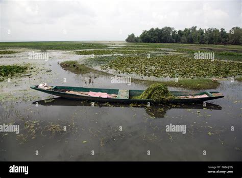 Wular Lake, Kashmir Stock Photo - Alamy