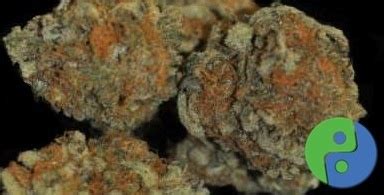 Frosted Flakes Marijuana Strain Information & Reviews | AllBud