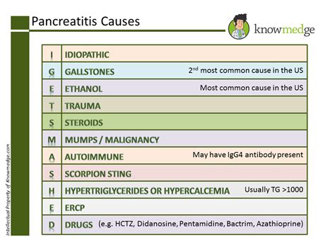 Get Smashed Pancreatitis - RonnievinKim