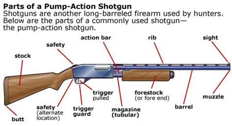 Parts of a pump action shortgun | Pump action shotgun, Shotgun, Firearms