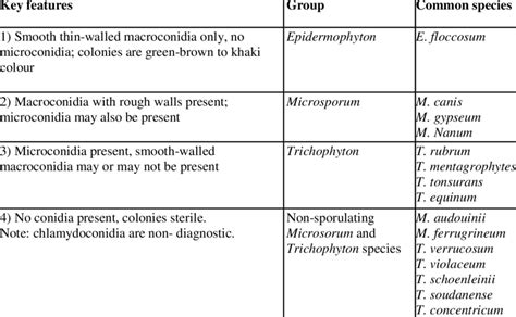 Dermatophyte Identification