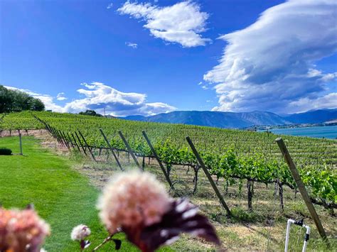 Lake Chelan Wineries: 6 great wineries in Chelan - The Everywhere Guide