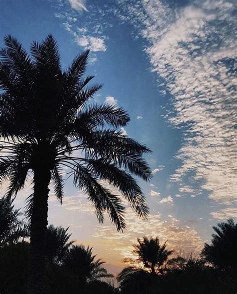 Sunset in Qatar : r/sunset