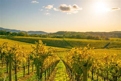 12 Top Napa Valley Wineries to Visit | Travel | US News