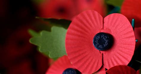 11 things you may not know about the poppy - including why it's a ...