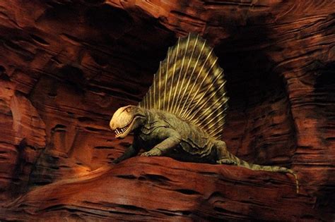 10 Facts about Dimetrodon | Fact File