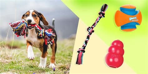 Safe And Durable: How To Select Long-lasting Dog Toys