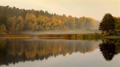 Explore the Nacka nature reserve in Stockholm | Nature reserve, Stockholm, Nature