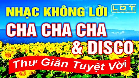 LIÊN KHÚC NHẠC KHÔNG LỜI CHA CHA CHA | Nhạc sống không lời cha cha cha & Disco hay nhất - YouTube