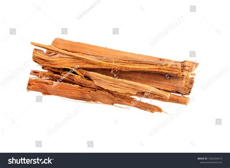 Cat's claw plant Images, Stock Photos & Vectors | Shutterstock