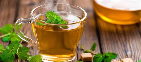 10 Spearmint Tea Benefits | Kent Tea & Coffee Co