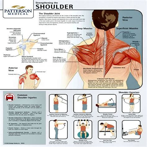 161 best images about Rotator cuff exercises on Pinterest | Shoulder exercises, Rotator cuff ...