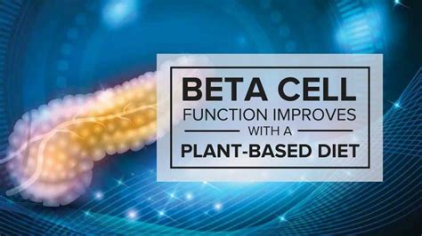 Beta Cell Function Improves with a Plant-Based Diet